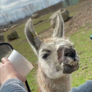 Meet your Posher, Jill